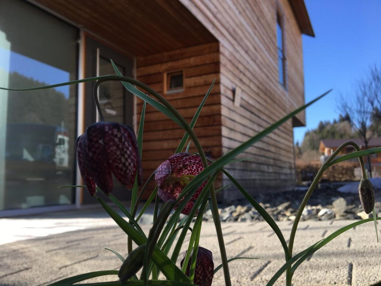Gaestewohnung Zum Atelier Immenstadt im Allgäu Zewnętrze zdjęcie